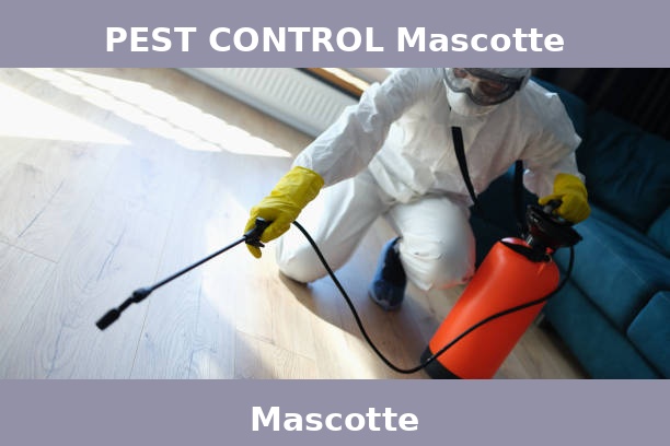 PEST CONTROL Mascotte